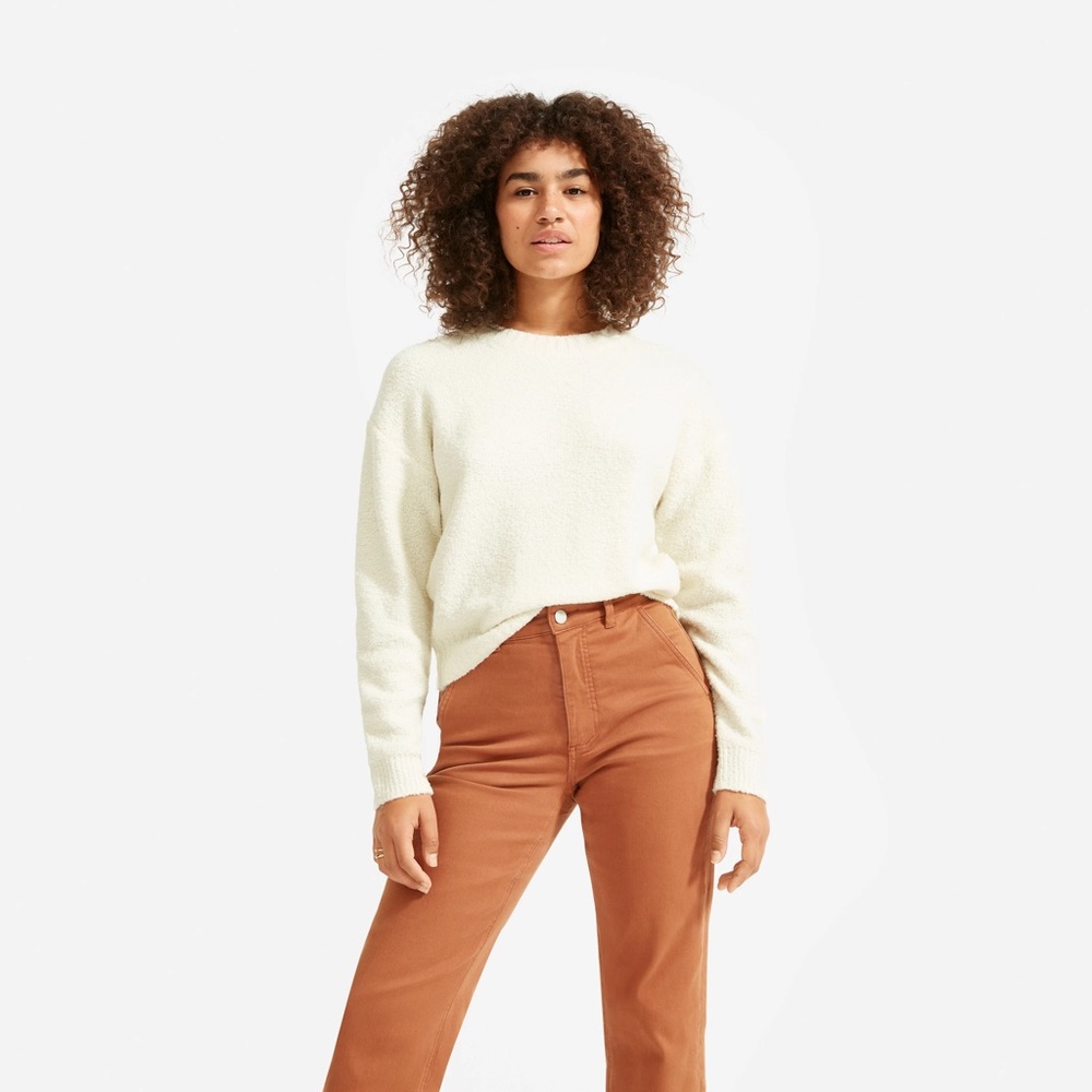 Everlane The Teddy Crew Neck Sweater